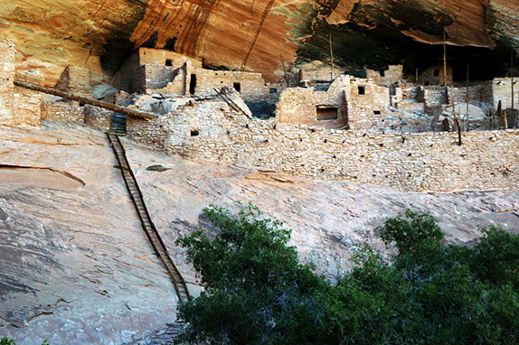Seventy foot ladder leading up into the ruin